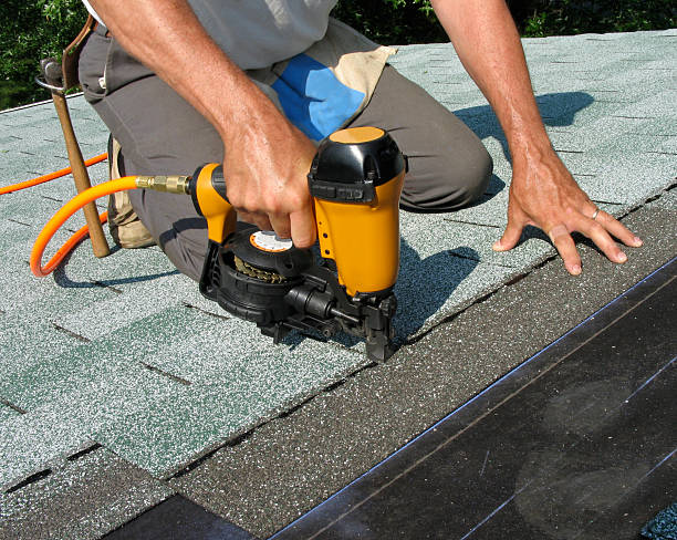 Best Roof Maintenance Services  in Roanoke, AL
