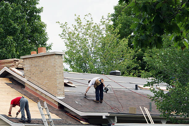 Best Storm Damage Roof Repair  in Roanoke, AL
