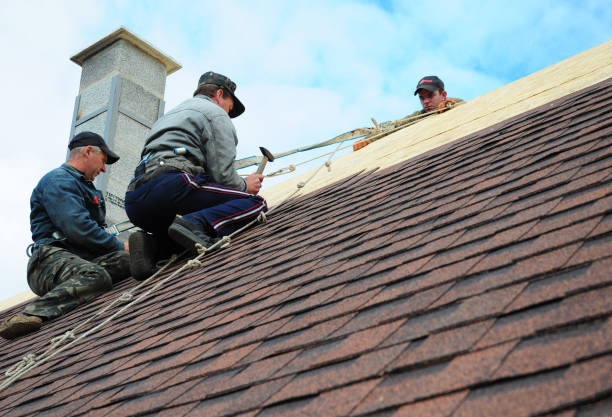 Best Best Roofing Contractors  in Roanoke, AL