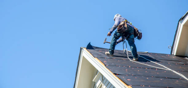 Best Roof Maintenance Services  in Roanoke, AL